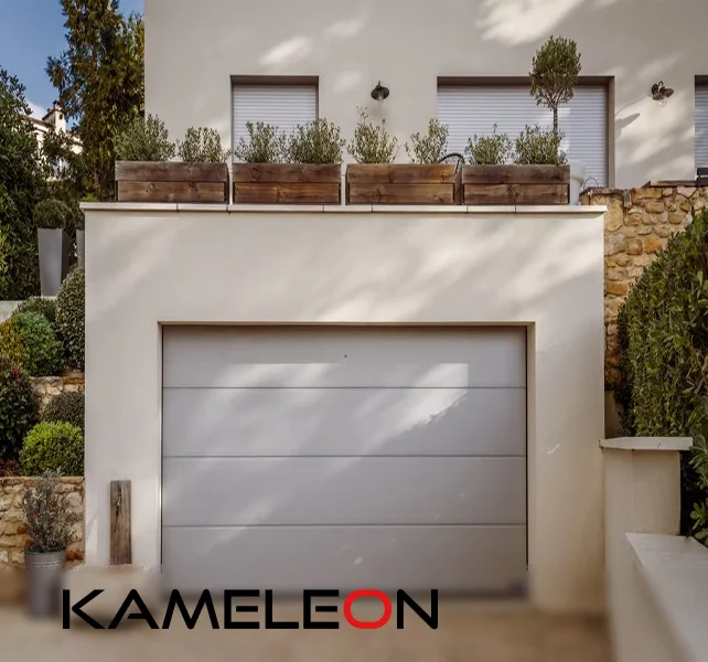 kameleon.md-garage-doors.jpg