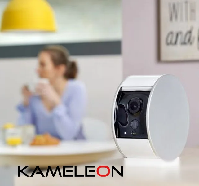 kameleon.md-surveillance-cameras.jpg