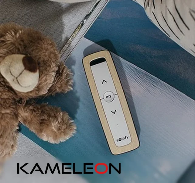 kameleon.md-remotes.jpg