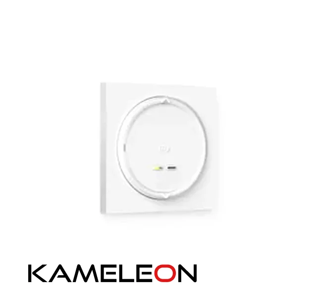 somfy-amy-s-2-kanalami-io