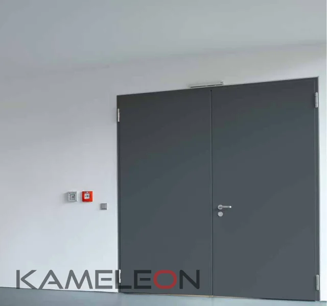 dveri-so-spetsialnymi-funktsiiami